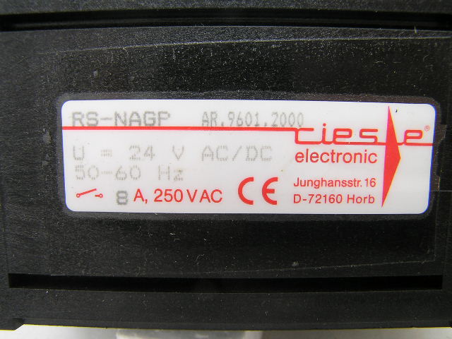 riese electronic RS-NAGP