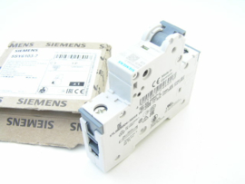 Siemens 5SY61 C3