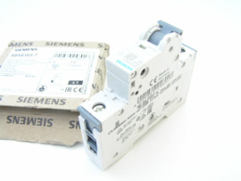Siemens 5SY6103-7 C3
