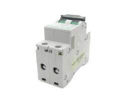 Schneider Electric C65N D6 17940
