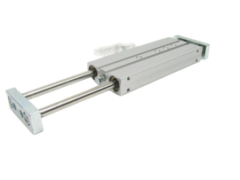 Festo DPZJ-20-100-P-A-S2