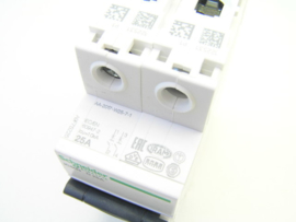 Schneider Electric iC60N D 25A