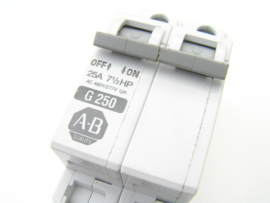 Allen-Bradley G 250. 1492-CB2