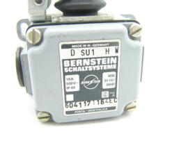 Bernstein D SU1 H W