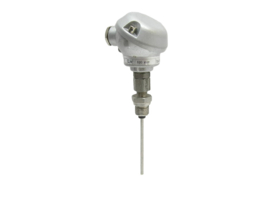 Endress + Hauser DT 2410