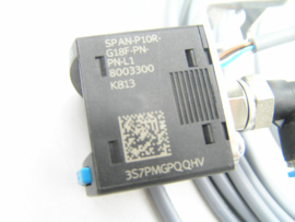 Festo SPAN-P10R-G18F-PN-PN-L1