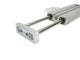 Festo DPZJ-20-100-P-A-S2