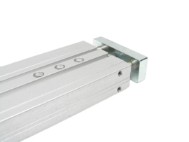 Festo DPZJ-20-100-P-A-S2