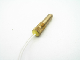 Webasto DBW Heater Overheat Fuse