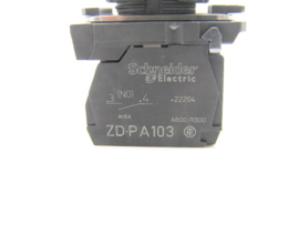 Schneider Electric swing switch XD5PA22
