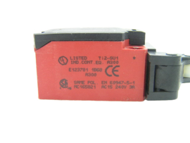 Bernstein TI2-SU1Z Hw 608.8171.016