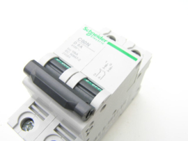 Schneider Electric C60N D 6A