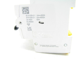 Schneider Electric iC60 RCBO A9D67420