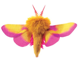 Vingerpopje  roze esdoornmot