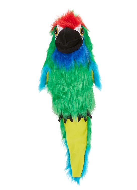 vogel military Macaw  PC003109