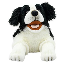 hond Border Collie PC003007