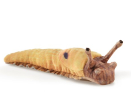 Vingerpopje naaktslak