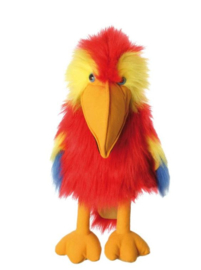 Vogel Scarlet macaw
