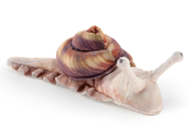 Vingerpopje slak