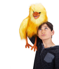 Grappige vogel