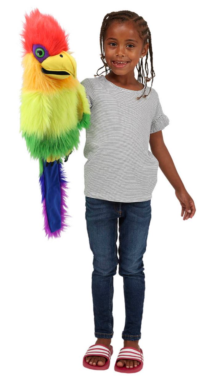 Regenboog vogel
