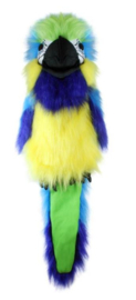 Macaw blauw-goud