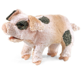 Knorrend varken