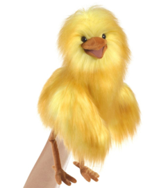 Grappige vogel