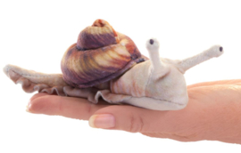 Vingerpopje slak