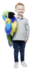 Macaw blauw-goud