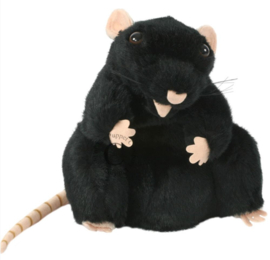 Rat zwart