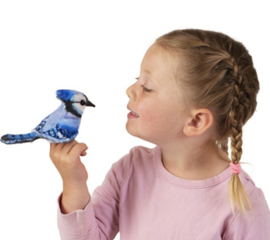 Vingerpopje blauwe gaai