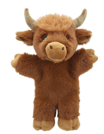 Highland koe
