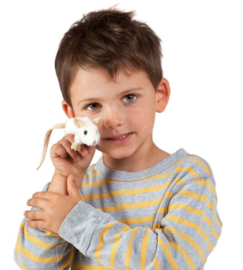 Vingerpopje witte muis