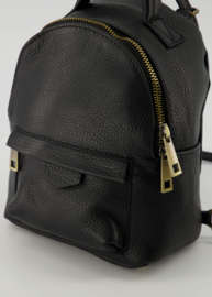 Klein rugtasje - Zwart - Axel - Classic Grain - Bronskleurig