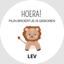 HOERA! Mijn broertje is geboren | Leeuw | 20 stuks