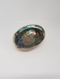 Abalone schelp  (branden van witte salie en smudges)