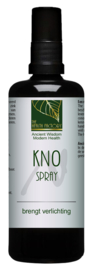The health factory - KNO spray met zilver en zink 100ml
