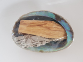 Abalone Smudge kit - met Salie en Palo santo