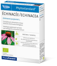 Pileje - Echinacea