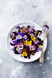 Kweekset - Biologische eetbare violen