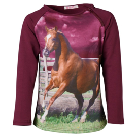 Paarse kindertrui met paard F33