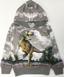 Hoodie met dinosaurus H176a