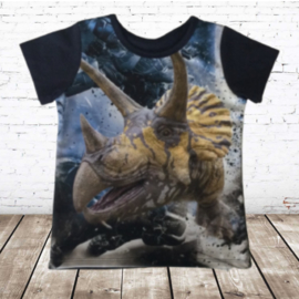 Dino shirt blauw JM808