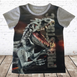 Jongens T-shirt Dinosaurus JM805