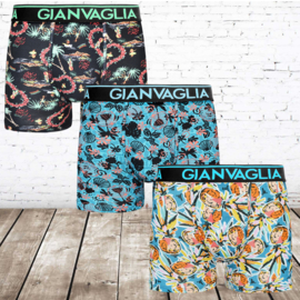 Gianvaglia katoenen heren boxers 5061 3-pak