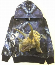 Blauwe hoodie met dino H178