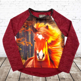 Rood meisjes truitje met paard