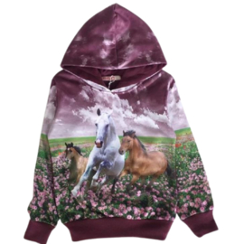 Kinder hoodie met paard f42