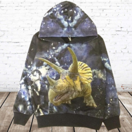 Blauwe hoodie met dino H178